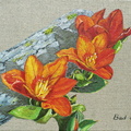 Tulipes précoces - Huile sur toile 33x24 - Août 2007