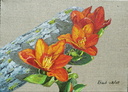 Tulipes précoces - Huile sur toile 33x24 - Août 2007
