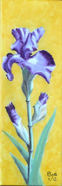 Iris violet - Huile sur toile 30x10 - 11.2012