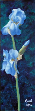 Iris bleu - Huile sur toile 30x10 - 11.2012