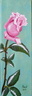 Rose - Huile sur toile 30x10 - 12.2012