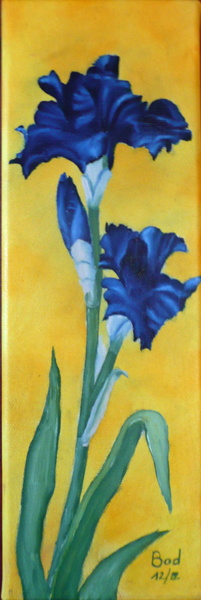Iris bleu nuit - Huile sur toile 30x10 - 12.2012.jpg