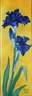 Iris bleu nuit - Huile sur toile 30x10 - 12.2012