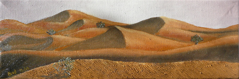 Aube sur le désert - Huile sur toile 30x10 - 01.2013.jpg