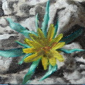 Fleur du désert - Huile sur toile 10x7 - 03.2013