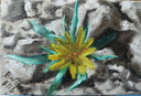 Fleur du désert - Huile sur toile 10x7 - 03.2013