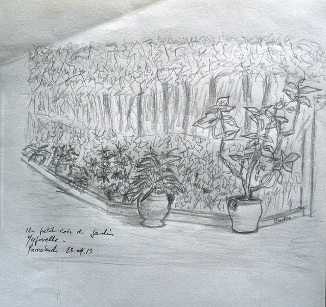 Un petit coin du Jardin de Majorelle - Crayon sur papier A4 - 23.09.2013.jpg