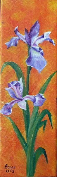 Iris mauve - Huile sur toile 10x30 - 02.2013.jpg