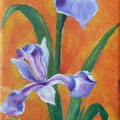 Iris mauve - Huile sur toile 10x30 - 02.2013