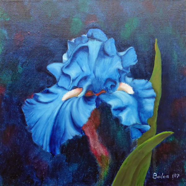 Iris bleu clair - Huile sur toile 30x30 - 01.2017.jpg