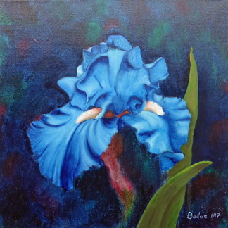 Iris bleu clair - Huile sur toile 30x30 - 01.2017