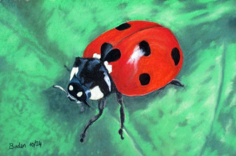 La coccinelle - Pastel 30x20 -  10.2024