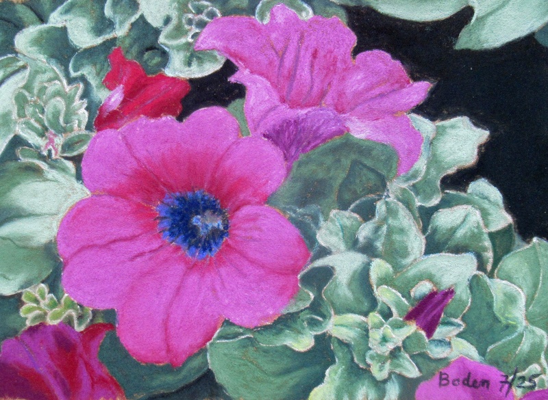 Pétunias - Pastel 20x15 - 07.2025.jpg