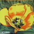 Tulipe - Pastel 20x15 - 08.2025
